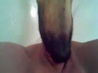 Dog eating and pleasuring the reddish pussy of slut